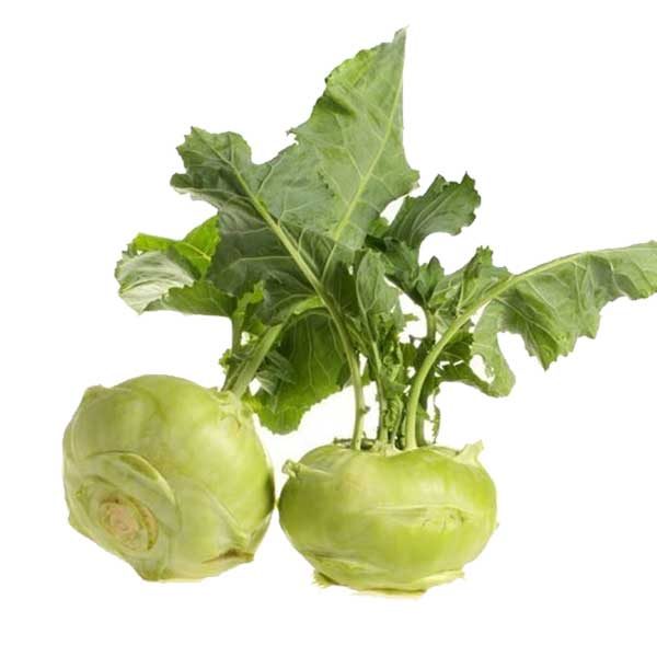 کلم قمری ۵۰۰گرمی