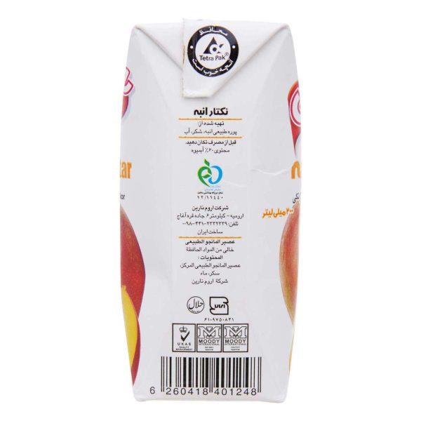 نکتار انبه 200 میلی‌لیتری شادلی - Image 3