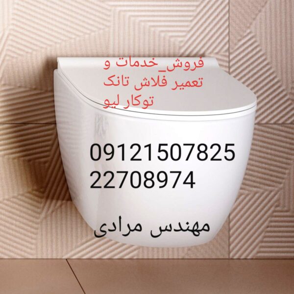 فروش_خدمات و تعمیر فلاش تانک توکار لیو_live 09121507825